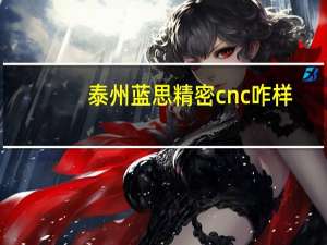 泰州蓝思精密cnc咋样