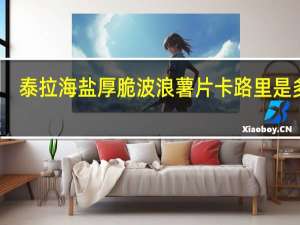 泰拉 海盐厚脆波浪薯片卡路里是多少