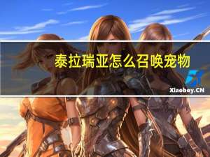 泰拉瑞亚怎么召唤宠物