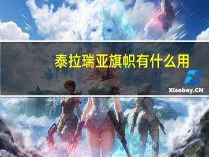 泰拉瑞亚旗帜有什么用