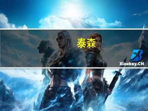 泰森（关于泰森的介绍）