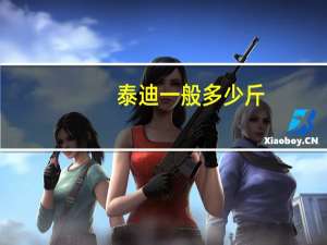 泰迪一般多少斤