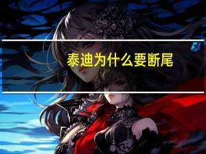 泰迪为什么要断尾