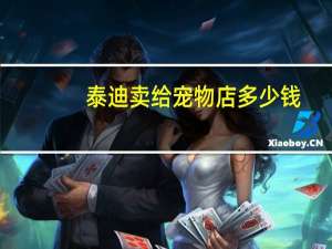 泰迪卖给宠物店多少钱