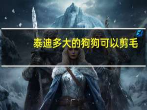 泰迪多大的狗狗可以剪毛