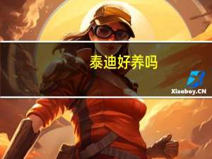 泰迪好养吗