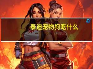 泰迪宠物狗吃什么