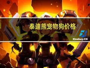 泰迪熊宠物狗价格