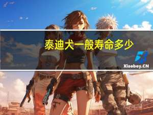 泰迪犬一般寿命多少