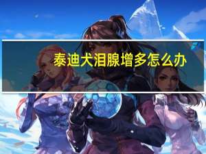 泰迪犬泪腺增多怎么办