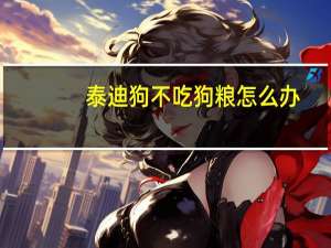 泰迪狗不吃狗粮怎么办