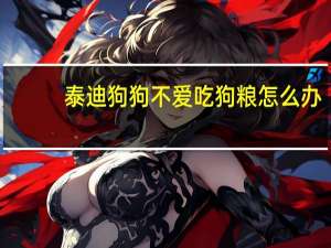 泰迪狗狗不爱吃狗粮怎么办