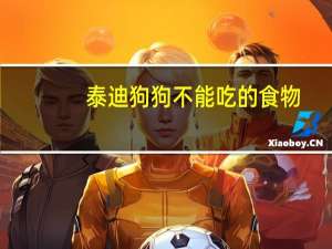 泰迪狗狗不能吃的食物