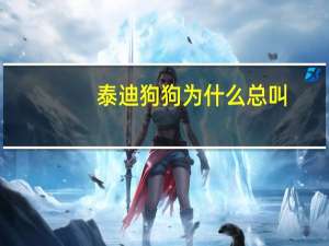 泰迪狗狗为什么总叫