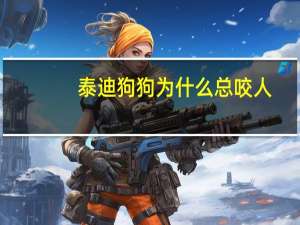 泰迪狗狗为什么总咬人