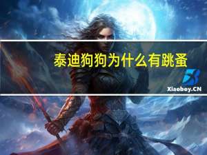 泰迪狗狗为什么有跳蚤