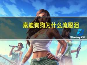 泰迪狗狗为什么流眼泪