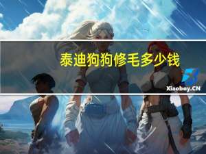 泰迪狗狗修毛多少钱