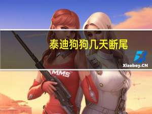 泰迪狗狗几天断尾