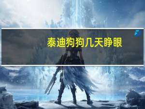 泰迪狗狗几天睁眼