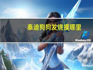 泰迪狗狗发烧摸哪里