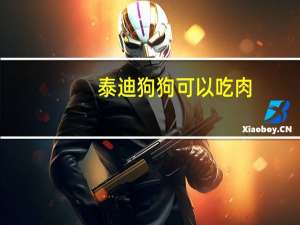 泰迪狗狗可以吃肉