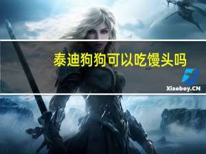 泰迪狗狗可以吃馒头吗