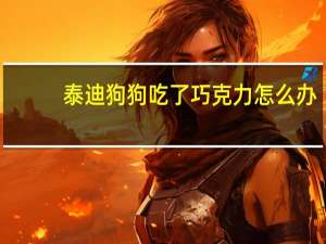 泰迪狗狗吃了巧克力怎么办