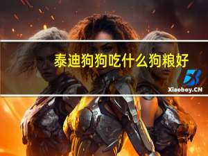 泰迪狗狗吃什么狗粮好
