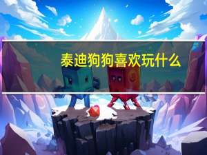 泰迪狗狗喜欢玩什么