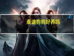 泰迪狗狗好养吗