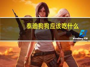 泰迪狗狗应该吃什么