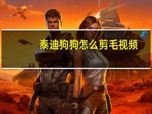 泰迪狗狗怎么剪毛视频
