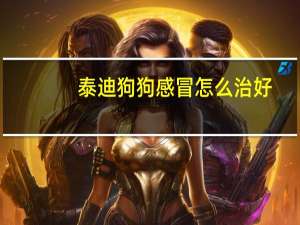 泰迪狗狗感冒怎么治好
