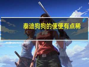 泰迪狗狗的便便有点稀