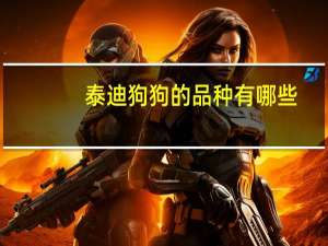 泰迪狗狗的品种有哪些