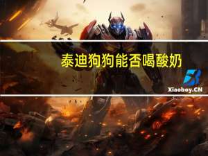 泰迪狗狗能否喝酸奶
