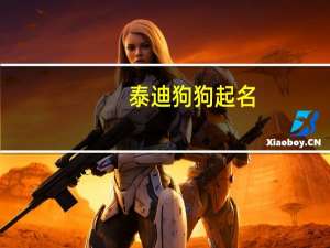 泰迪狗狗起名