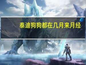泰迪狗狗都在几月来月经