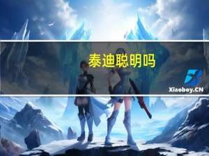 泰迪聪明吗