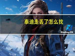 泰迪走丢了怎么找