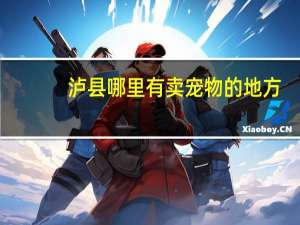 泸县哪里有卖宠物的地方