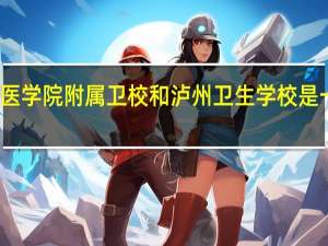 泸州医学院附属卫校和泸州卫生学校是一家学校吗