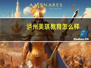 泸州美琪教育怎么样