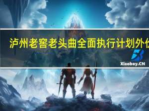 泸州老窖老头曲全面执行计划外价格