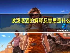 泼泼洒洒的解释及意思是什么