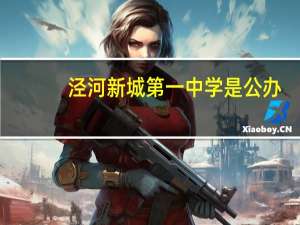 泾河新城第一中学是公办