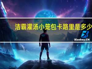 洁霸 灌汤小笼包卡路里是多少