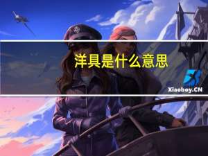 洋具是什么意思