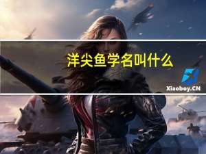 洋尖鱼学名叫什么